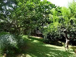 מלון Villa Noelia 4*