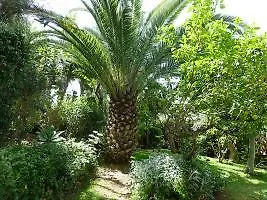 Villa Noelia מלון